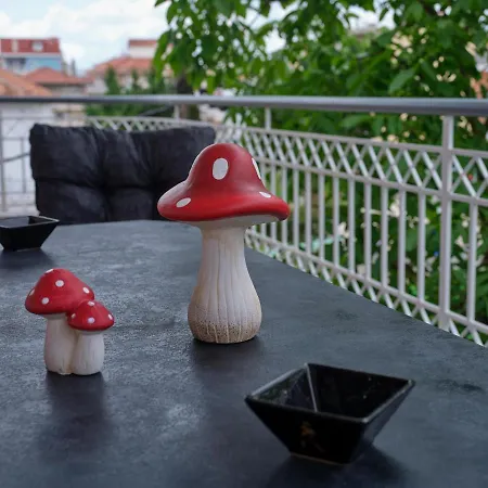 With View * Τρίπολη